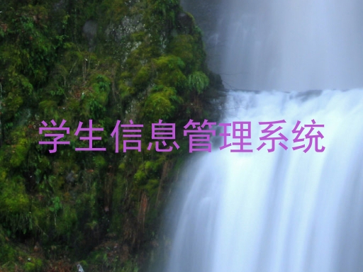 学生信息管理系统