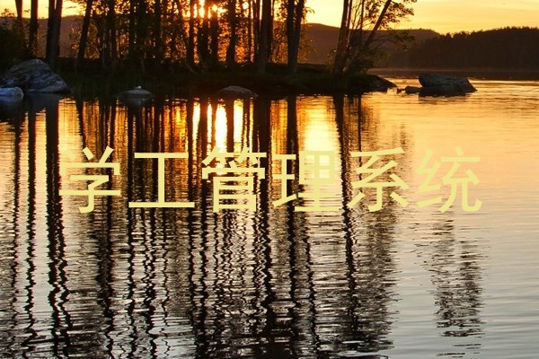 学工管理系统