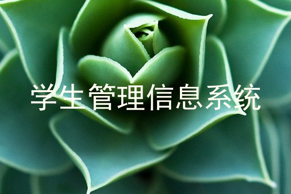 学生管理信息系统