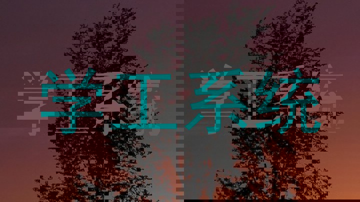 学工系统