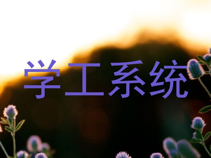 学工系统