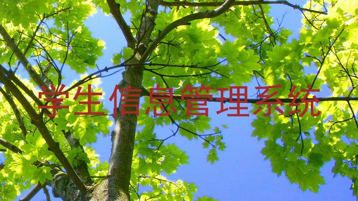 学生信息管理系统