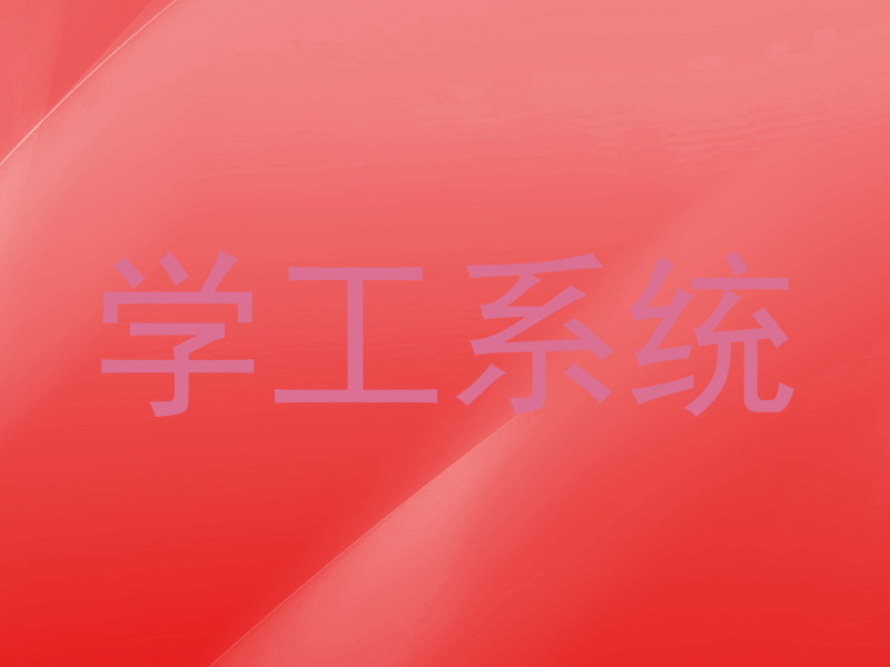 学工系统