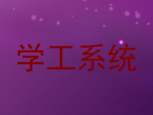 学工系统