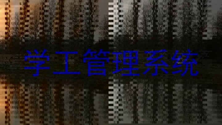 学工管理系统