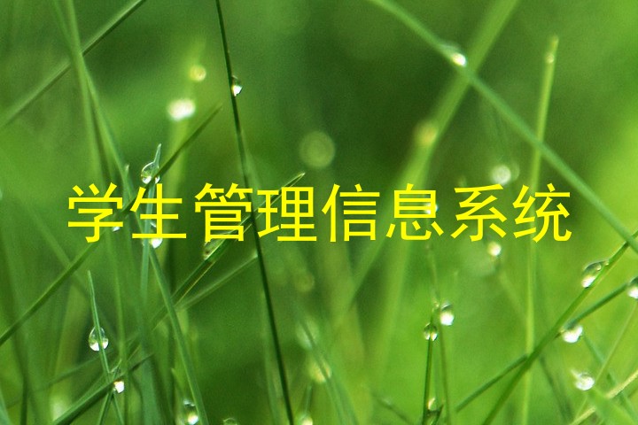 学生管理信息系统