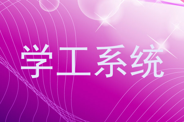 学工系统