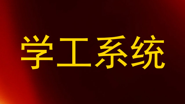 学工系统
