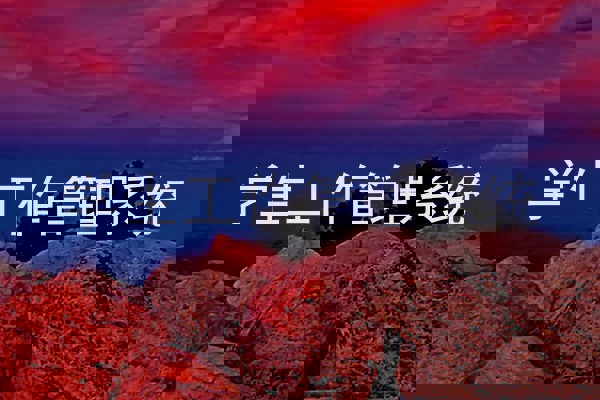 学生工作管理系统