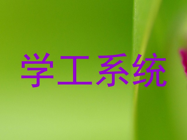 学工系统
