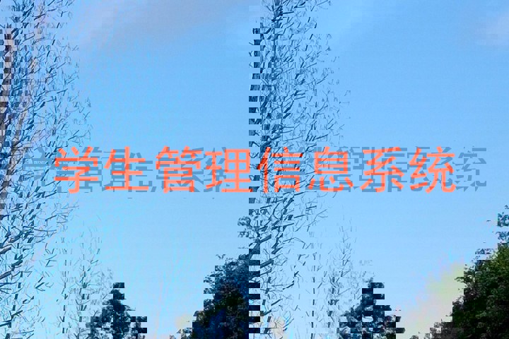 学生管理信息系统