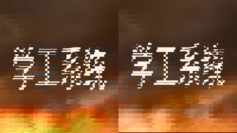 学工系统
