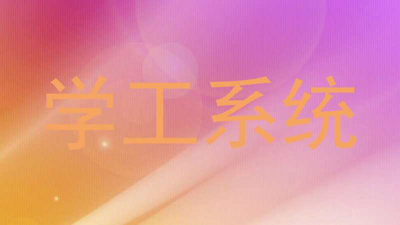 学工系统
