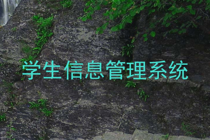 学生信息管理系统
