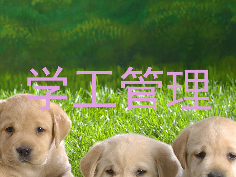 学工管理