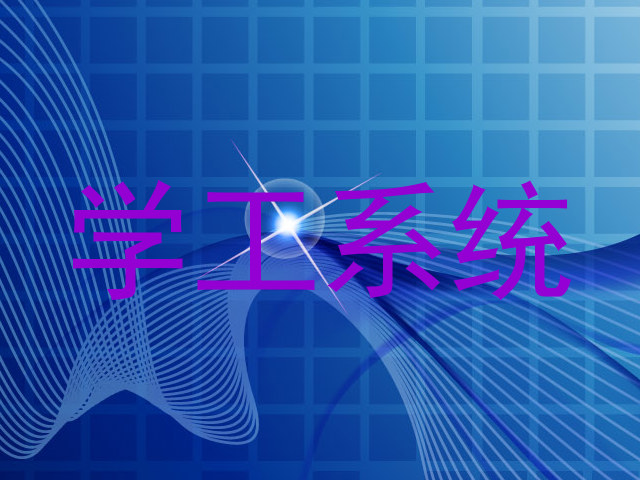 学工系统