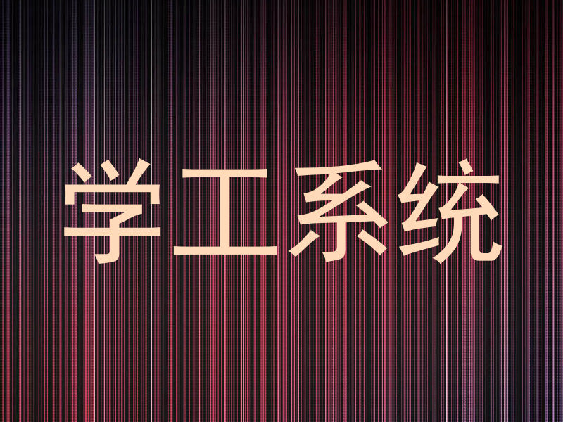 学工系统