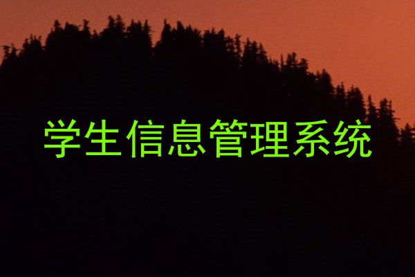 学生信息管理系统