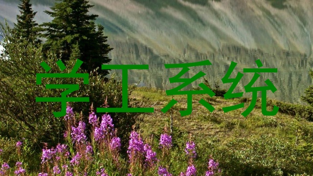 学工系统