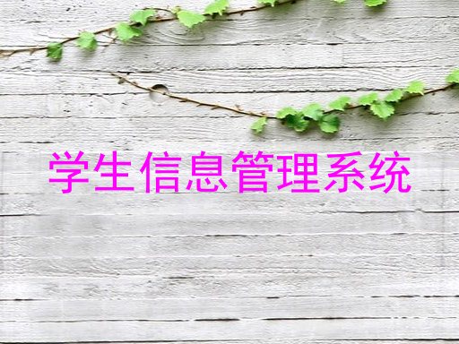 学生信息管理系统