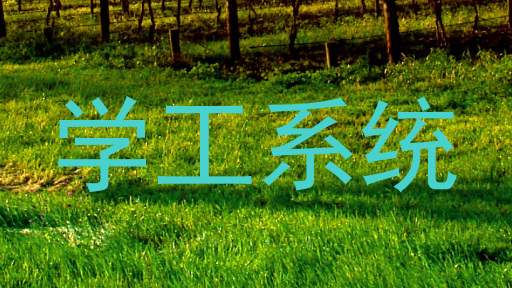 学工系统
