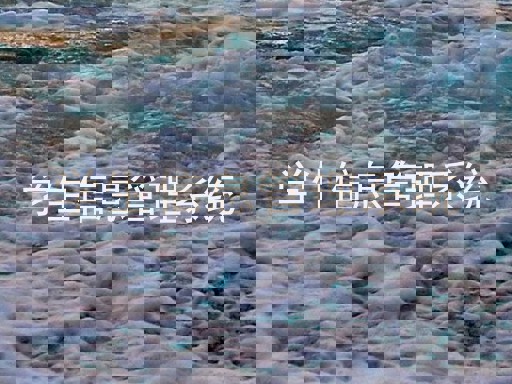 学生信息管理系统