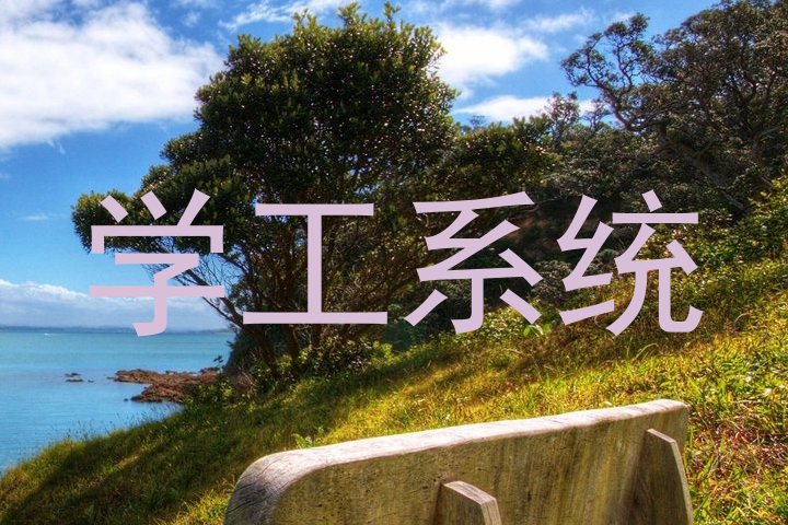 学工系统