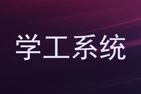 学工系统