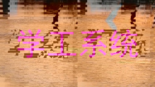 学工系统