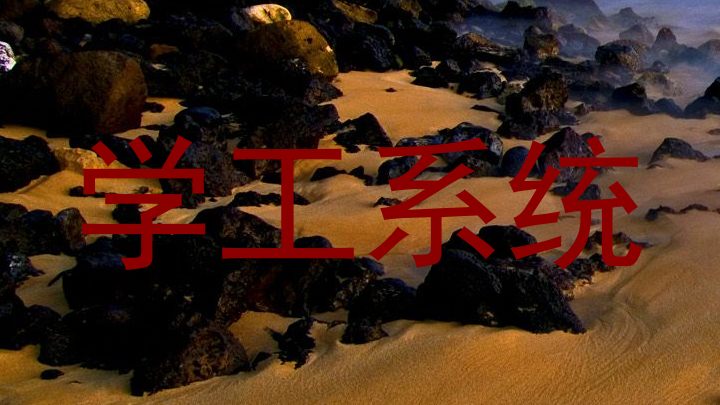 学工系统