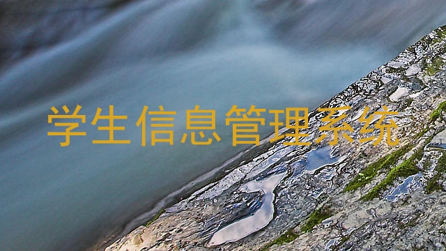 学生信息管理系统