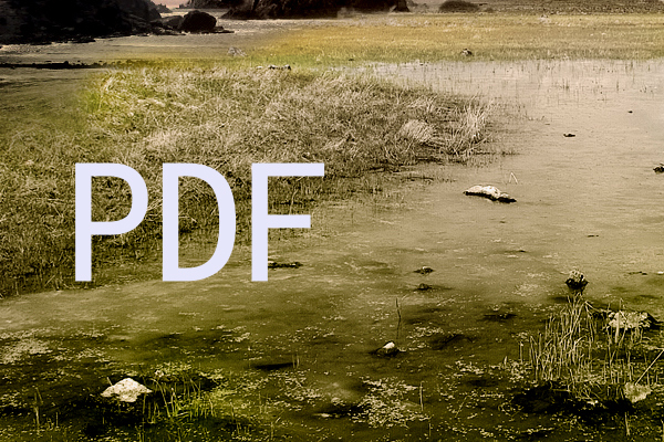 PDF