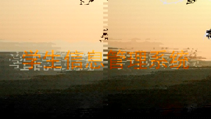 学生信息管理系统