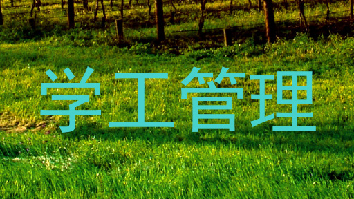 学工管理