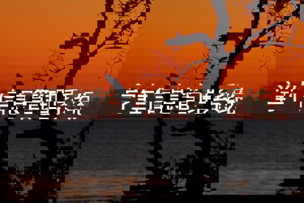 学生信息管理系统