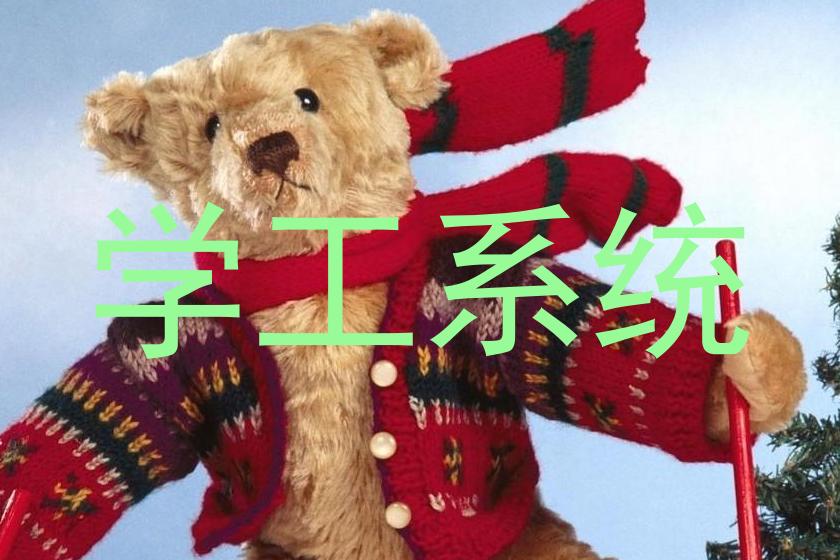 学工系统