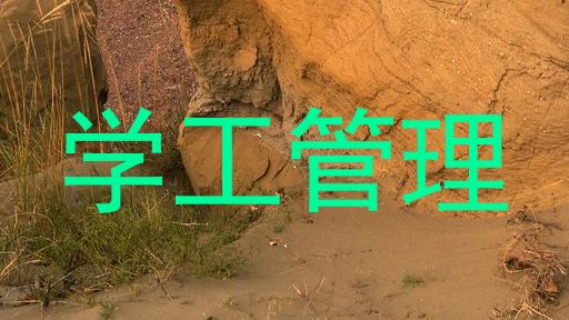 学工管理