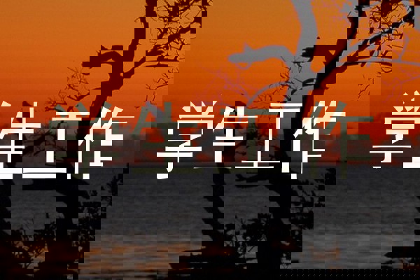 学生工作
