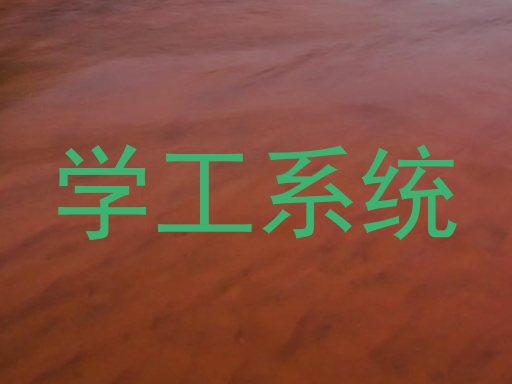 学工系统
