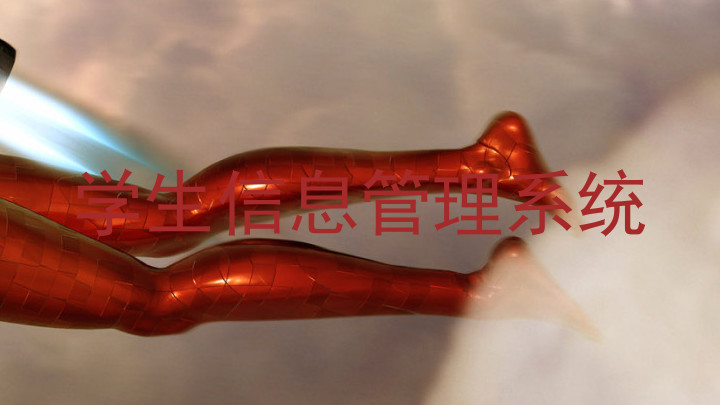 学生信息管理系统