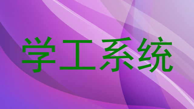 学工系统