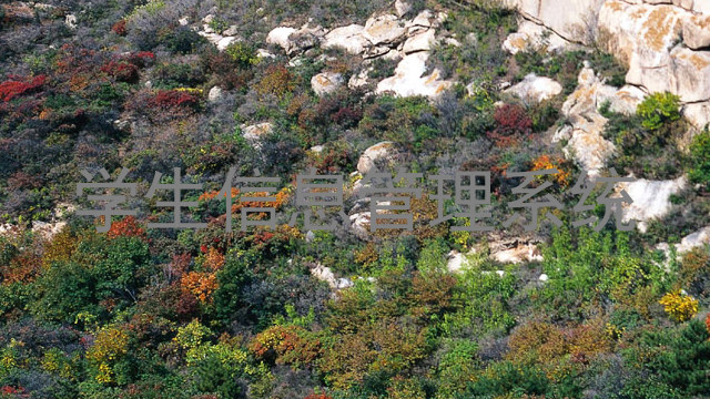 学生信息管理系统