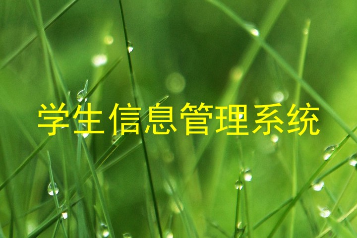 学生信息管理系统