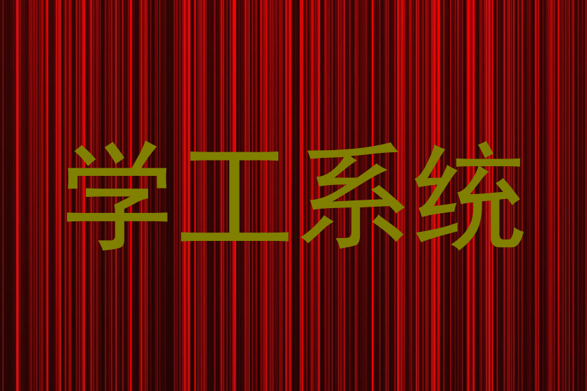 学工系统