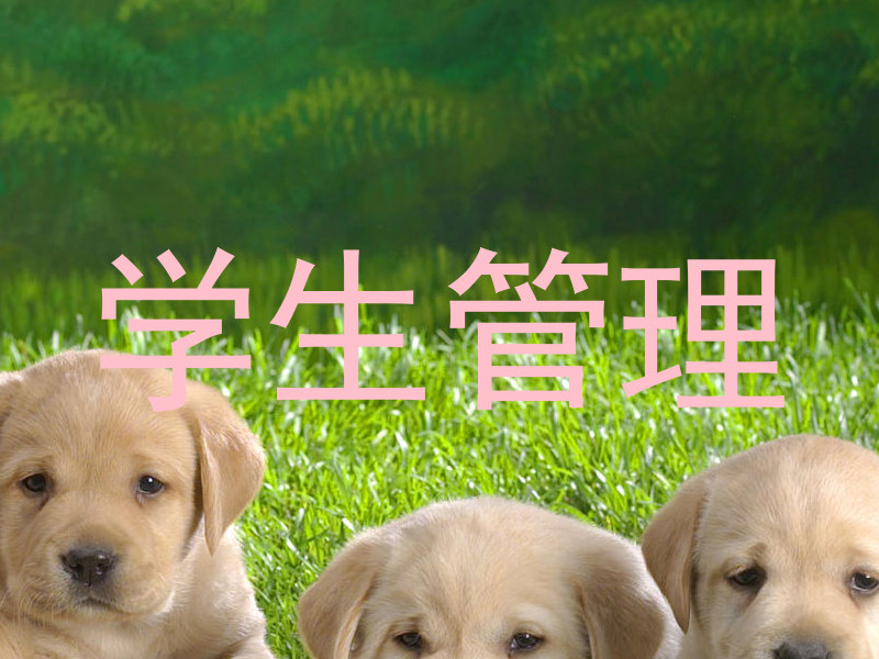学生管理