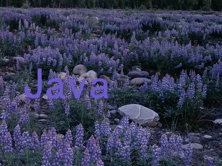 Java