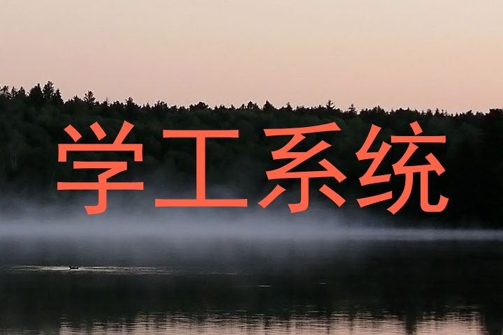 学工系统