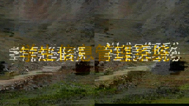 学生信息管理系统