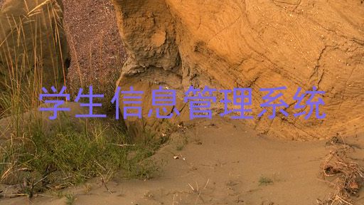 学生信息管理系统
