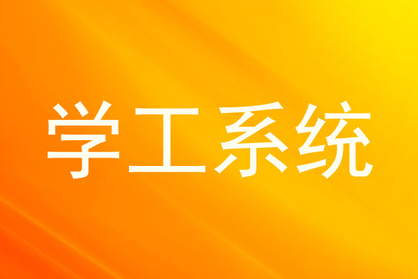 学工系统